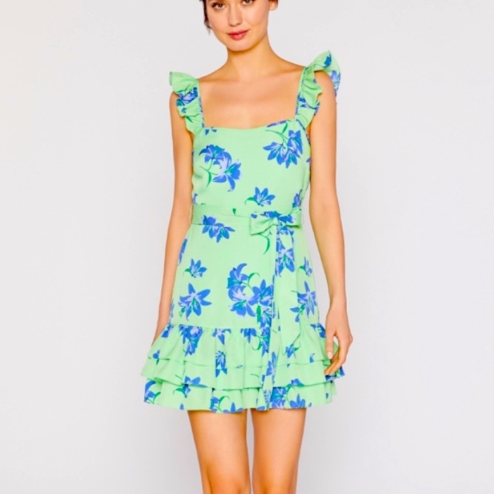Likely mini Charlotte dress size 2